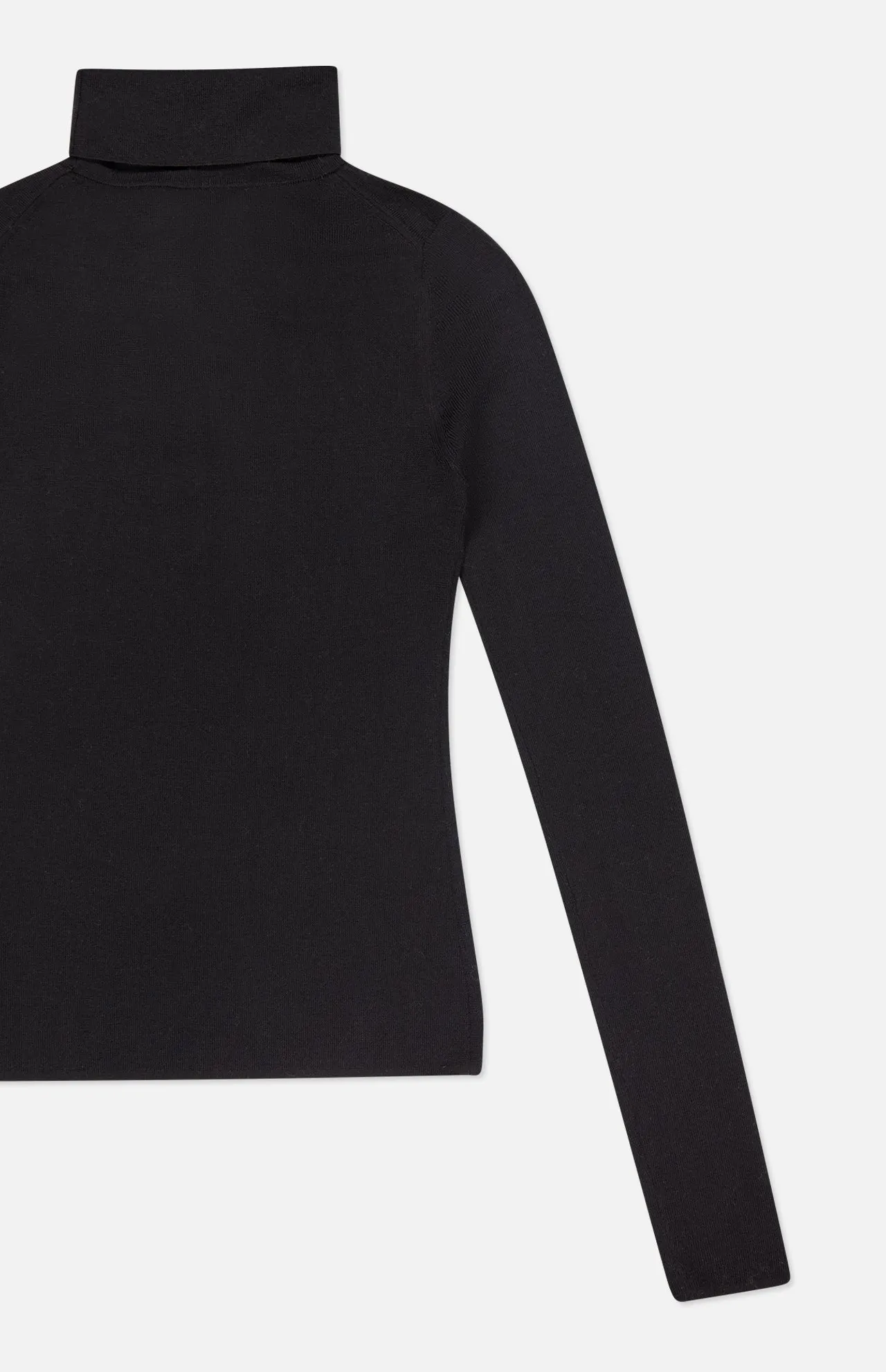 Superfine Merino Fitted Turtleneck Sweater
